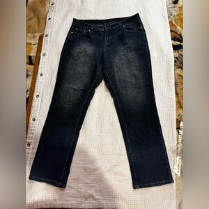 Kenneth Lopez Denim Blue Jeans  Women’s Size 18 Low Ride Skinny Fit Stretch